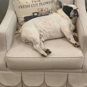 Meet your Posher, Pete